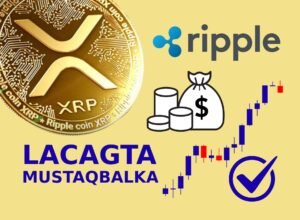 Read more about the article Ripple (XRP): Waa maxay, Sidee u Shaqeysaa, iyo Sababta ay u Noqon Karto Mustaqbalka Lacagaha Caalamiga ah